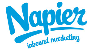 napier-Web-Marketing-copertina